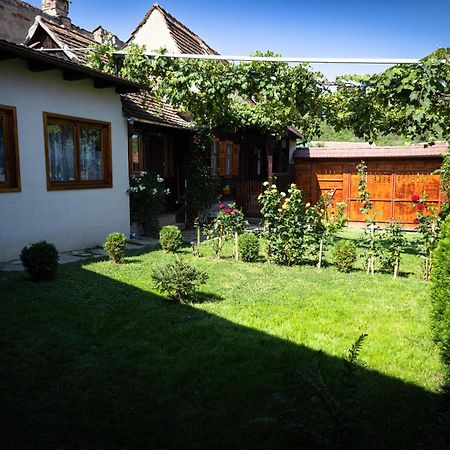 Vila Casa Adina Sibiel Exteriér fotografie
