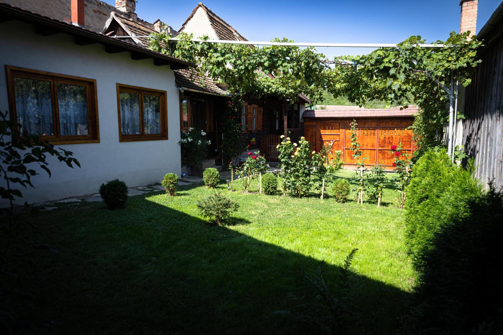 Vila Casa Adina Sibiel Exteriér fotografie